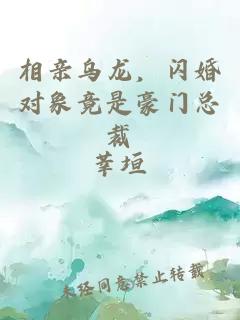 相亲乌龙，闪婚对象竟是豪门总裁