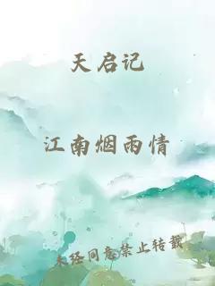 天启记