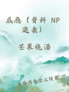 成瘾（骨科 NP 追妻）