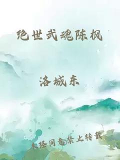 绝世武魂陈枫