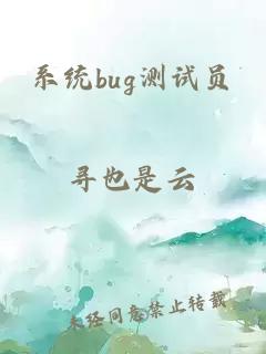 系统bug测试员