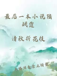 最后一本小说陆战霆