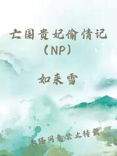 亡国贵妃偷情记（NP）