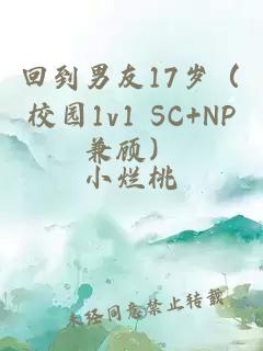 回到男友17岁（校园1v1 SC+NP兼顾）