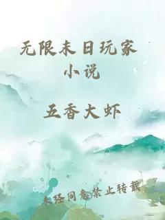 无限末日玩家 小说