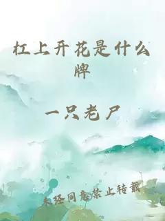 杠上开花是什么牌