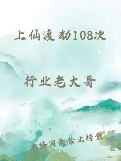 上仙渡劫108次