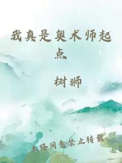 我真是奥术师起点