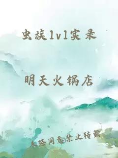 虫族1v1实录