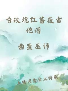 白玫瑰红蔷薇吉他谱