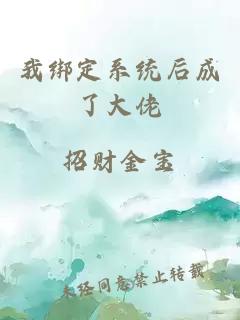 我绑定系统后成了大佬