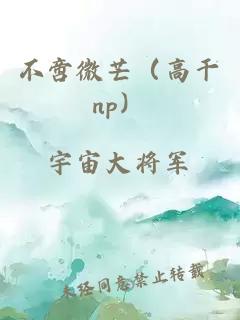 不啻微芒（高干np）