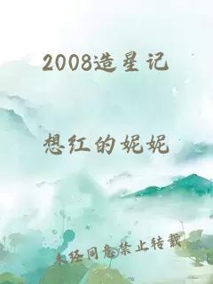 2008造星记