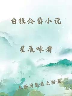 白银公爵小说