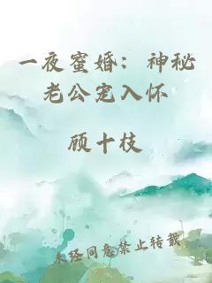 一夜蜜婚：神秘老公宠入怀