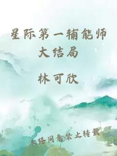 星际第一辅能师大结局